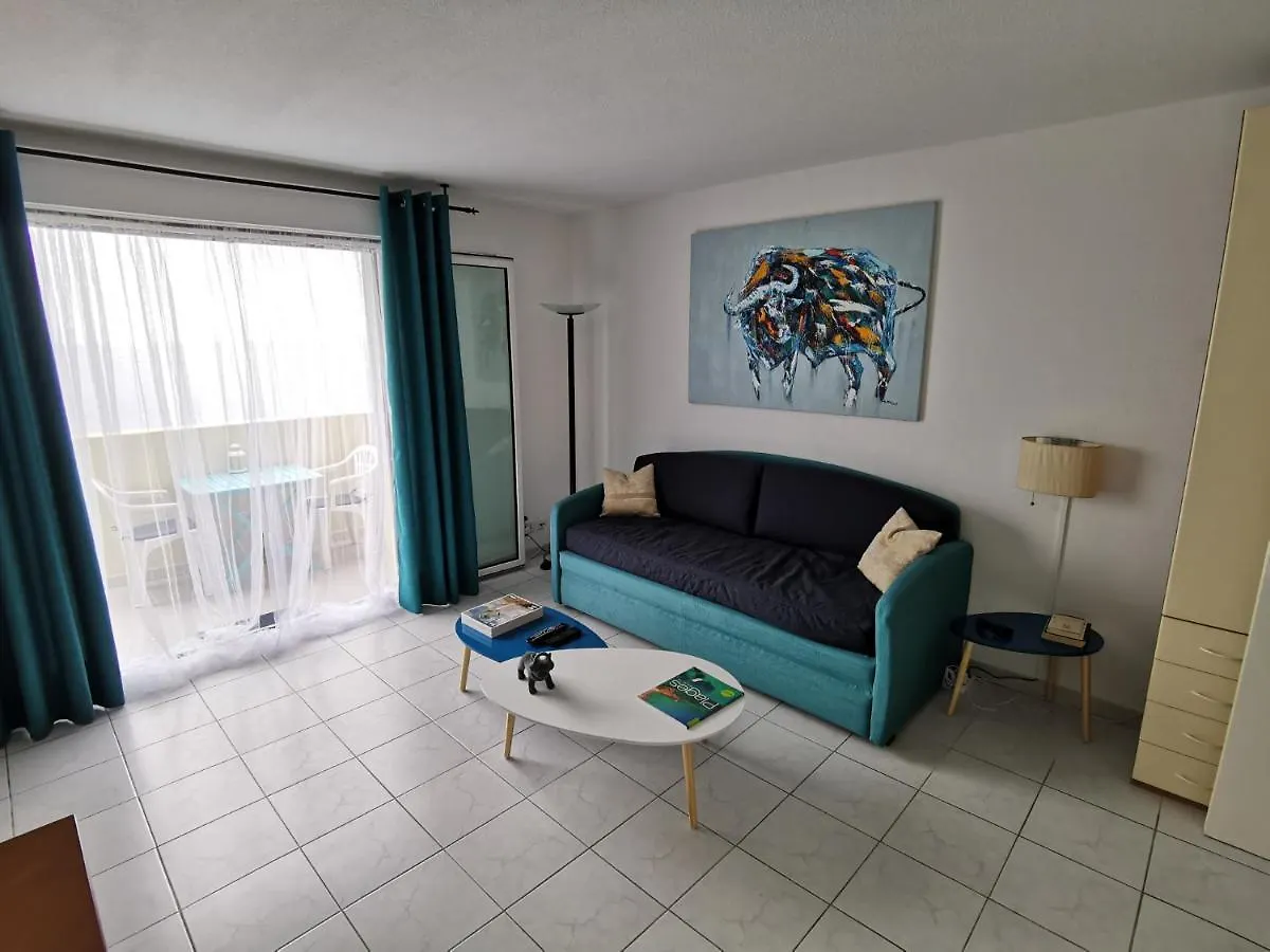 Studio Le Grand Bleu Fshh Nice France